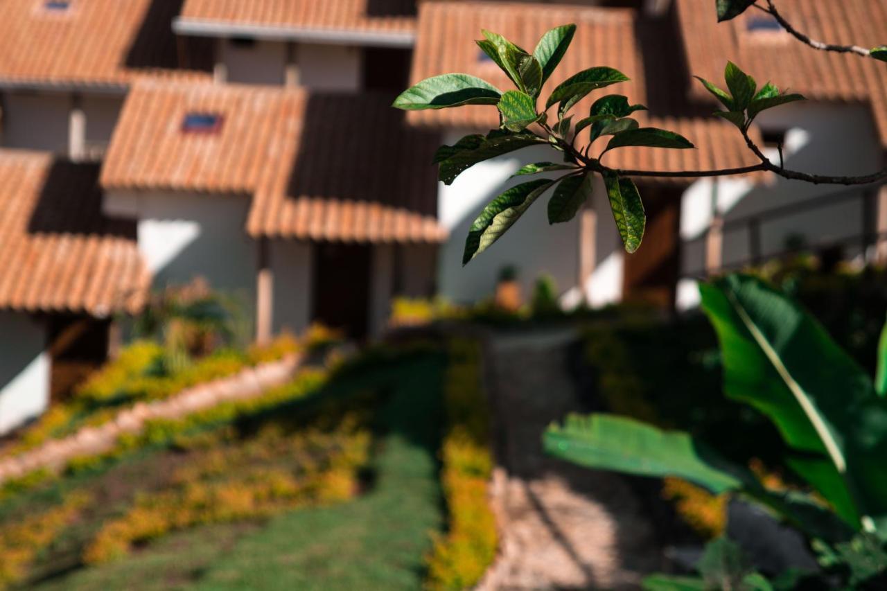 ホテル Terrazas De Guadalupe エクステリア 写真